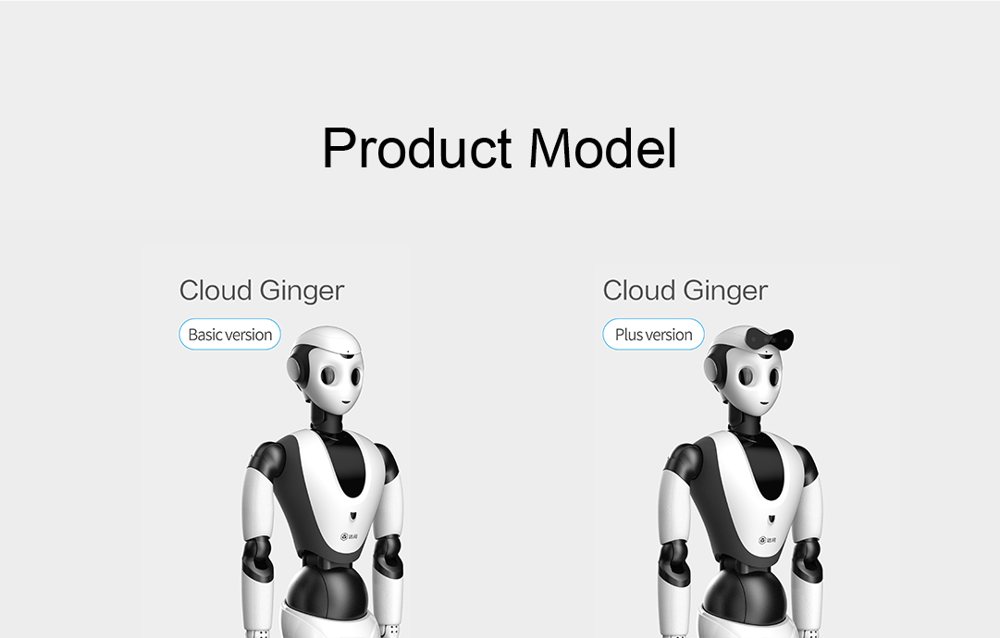 Cloud Ginger (XR-1)