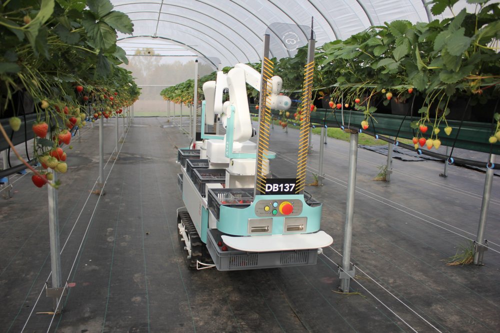 Strawberry harvesting robot (Generation 5)