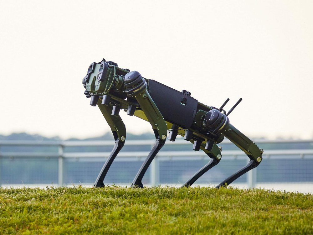 MULE (Multi-Utility Legged Equipment)