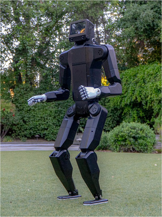 K-Bot