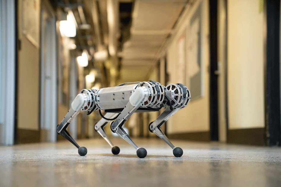 Mini Cheetah