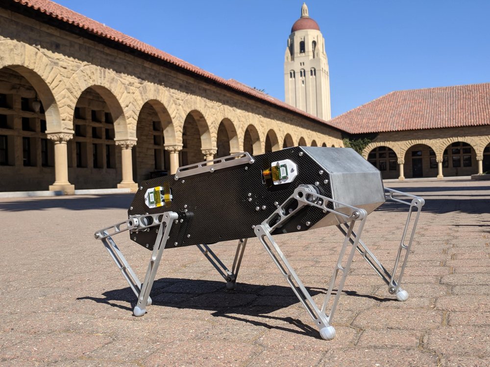 Stanford Doggo