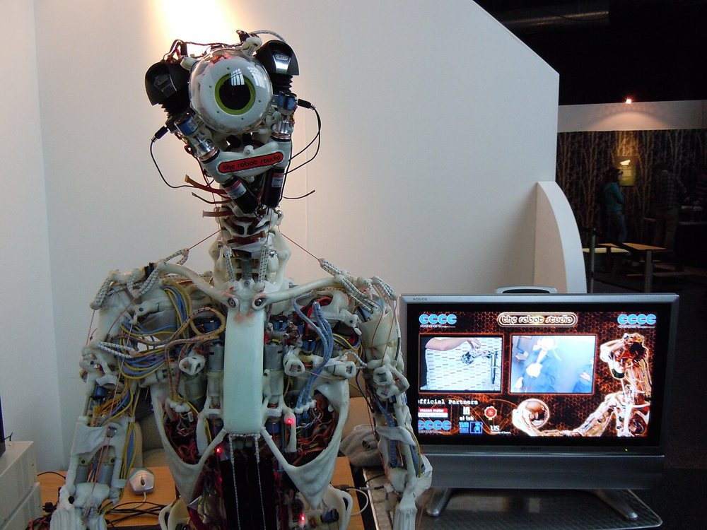 ECCE (ECCEROBOT)