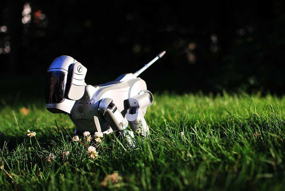 AIBO ERS-110